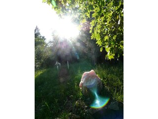 Casa per le vacanze Pontassieve Registrazione all'aperto 12