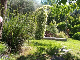 Casa per le vacanze Pontassieve Registrazione all'aperto 8