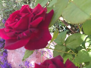 Casa per le vacanze Pontassieve Registrazione all'aperto 24