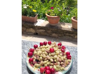 Casa per le vacanze Pontassieve Registrazione all'aperto 25