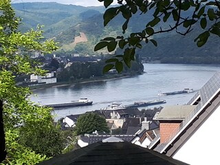 Ausblick vom Wohn/Esszimmer auf den Rhein