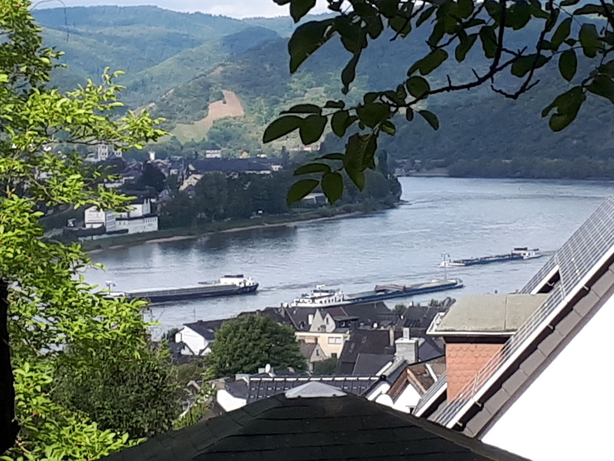 View from the living / dining room to the Rhine