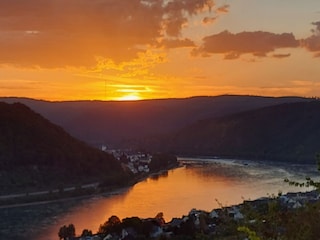 Blick vom Wanderweg "Rheinsteig" auf den Rhein