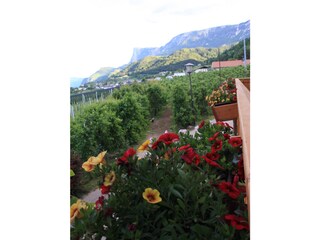 Appartamento per vacanze Tisens Ambiente 16