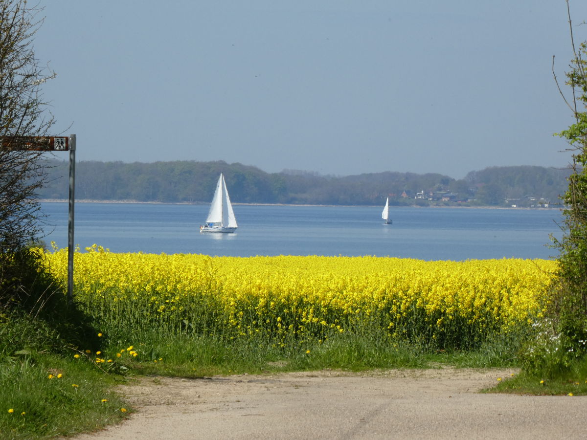 am ende unserer strasse