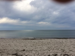 Natur pur - Ostsee
