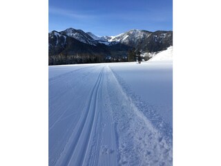 Ski Langlauf