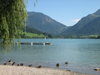 Ansicht Schliersee