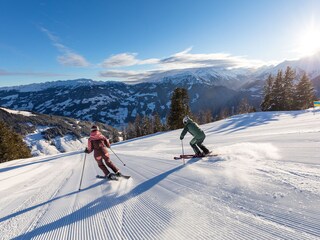 Vakantieappartement Mayrhofen Omgeving 14