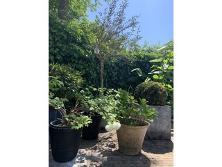 Casa per le vacanze Bergen (Holland) Registrazione all'aperto 7