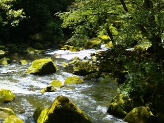 Casa per le vacanze Metterich Ambiente 16