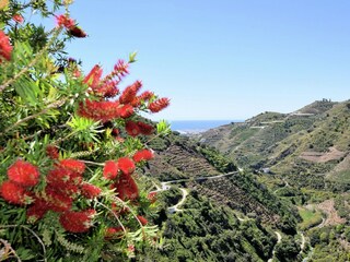 Maison de vacances Canillas de Albaida Environnement 25