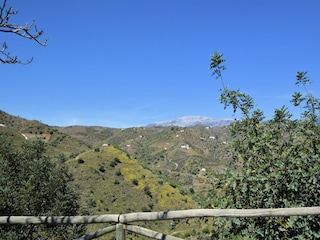 Holiday house Canillas de Albaida Environment 24