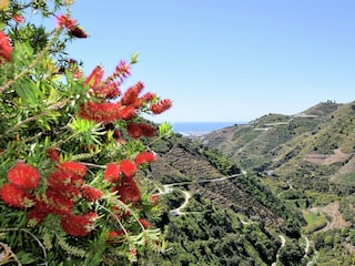 Holiday house Canillas de Albaida Environment 25