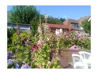 Terrasse Zimmer 3