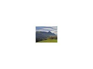 Panoramablick Reith i.A. im Sommer