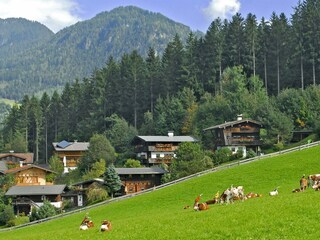 Almabtrieb in Reith i.A.