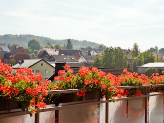 Balkon mit Ausblick auf Wernersberg-