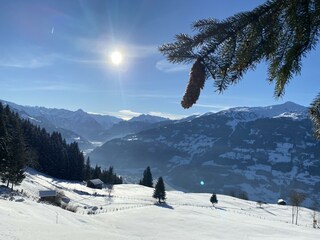 IMG_1461