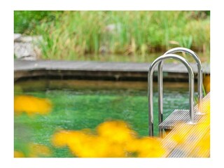 einstieg-schwimmteich-gross