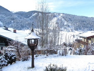 Vorgarten