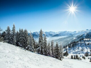 gallerie-winter-2