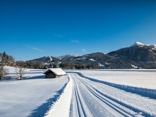 gallerie-winter-47