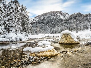 gallerie-winter-57