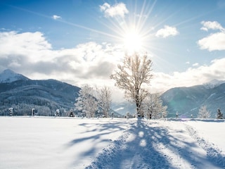 gallerie-winter-61