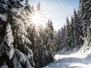 gallerie-winter-11