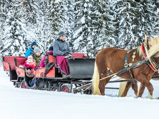 gallerie-winter-24