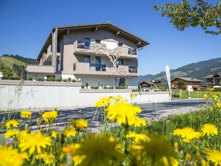 Enjoythealps_sommer (2 von 19)