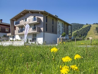 Enjoythealps_sommer (4 von 19)