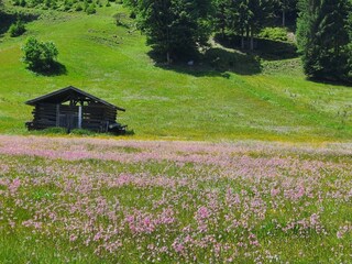 IMG-20250610-WA0001