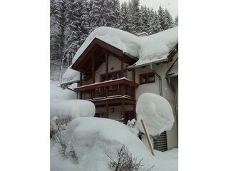 Ferienhaus Waldsicht - Winter