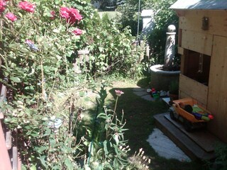 IMG02112-20110717-1611