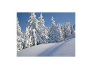 Verschneite Winterlandschaft