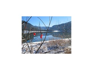 Blick über den verschneiten Hintersee