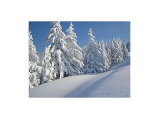 Verschneite Winterlandschaft