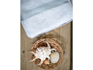 Die Ringdorferin Schwerlilie Deko WC