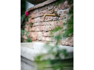 Die Ringdorferin Hausbrunnen