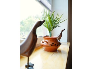 Blick in den Garten und in den Wald