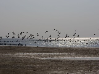 Urlaub direkt an der Nordsee.