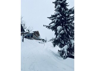 IMG_8950