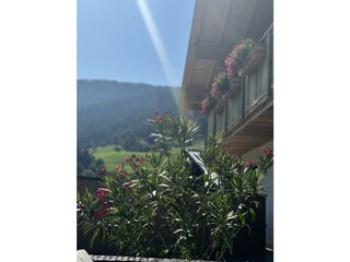 Haus 6