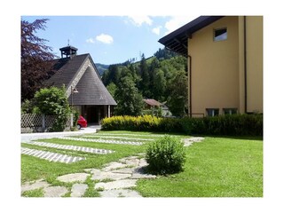 garden july