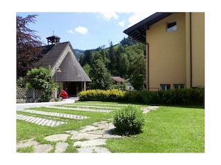 garden july