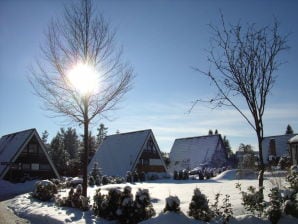 Ferienhaus Sommer Sonnenhaus - Tennenbronn - image1