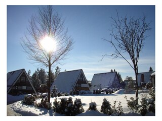 Winterimpressionen