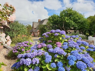 Sommer in unserer kleinen Gasse